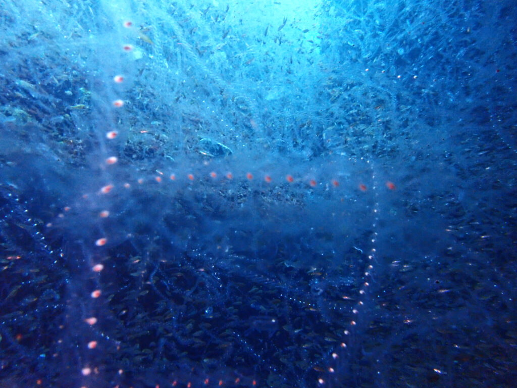 雲見ダイビング 牛着岩 はまゆ