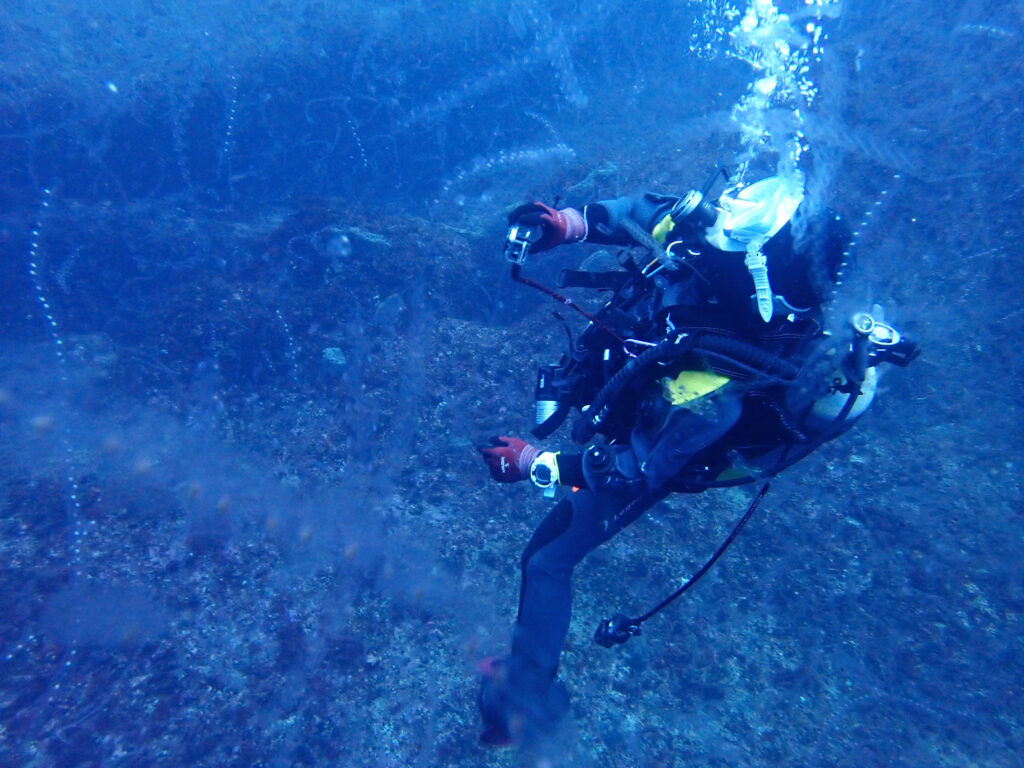 雲見ダイビング 牛着岩 はまゆ 本日のお客様