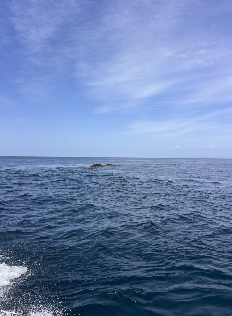 土肥ダイビング　小下田　サク根　激流
