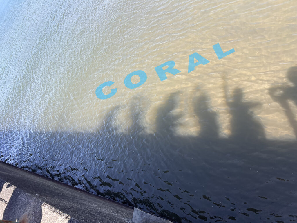 土肥ダイビング　専大CORAL　3年生春合宿　レスキューコース