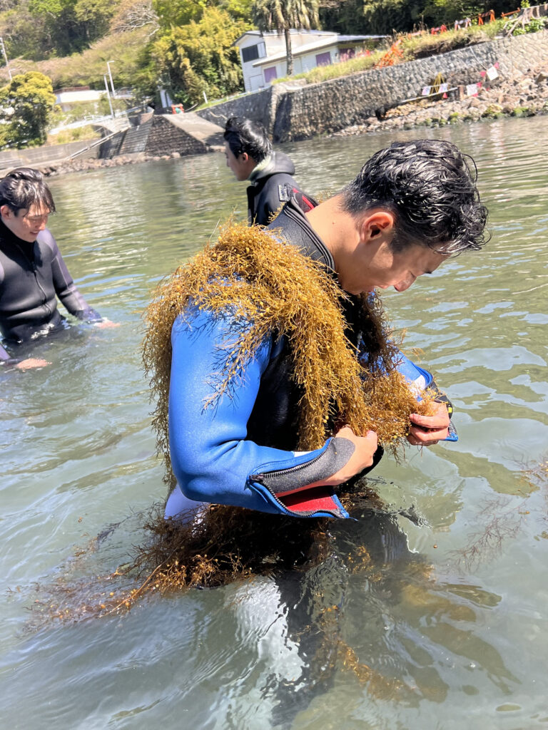 土肥ダイビング　専大CORAL　新3年生春合宿　レスキューコース