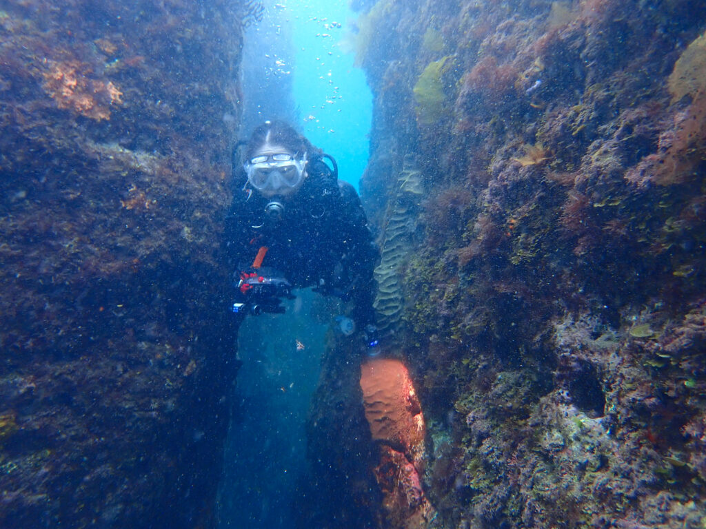 土肥ダイビング　八木沢離れ島