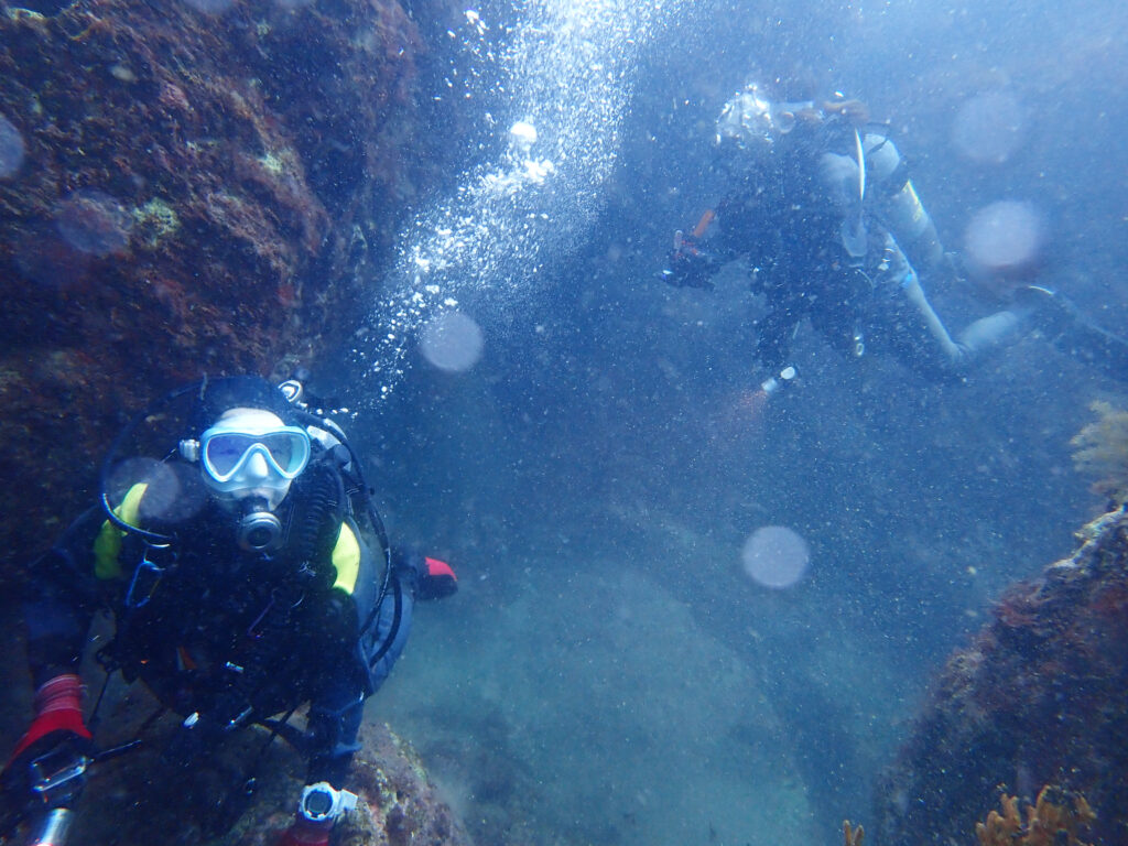 土肥ダイビング　八木沢離れ島