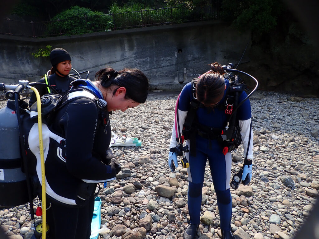 土肥ダイビング 通り崎ビーチ 専修大学スキンダイビングクラブCORAL 1年生ライセンス合宿