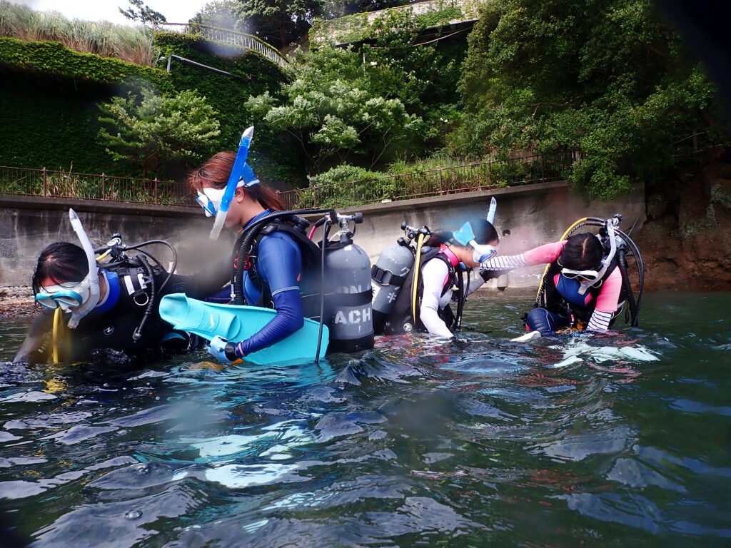 土肥ダイビング 通り崎ビーチ 専修大学スキンダイビングクラブCORAL 1年生ライセンス合宿