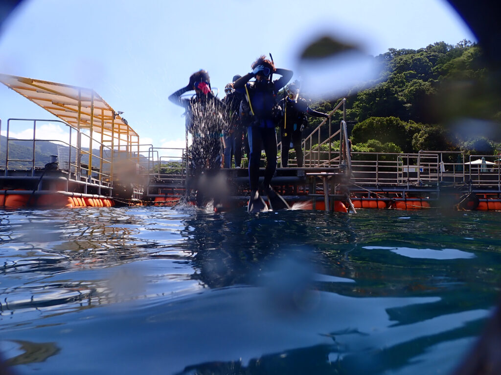 土肥ダイビング　通り崎ビーチ　専修大学スキンダイビングクラブCORAL　ライセンス合宿