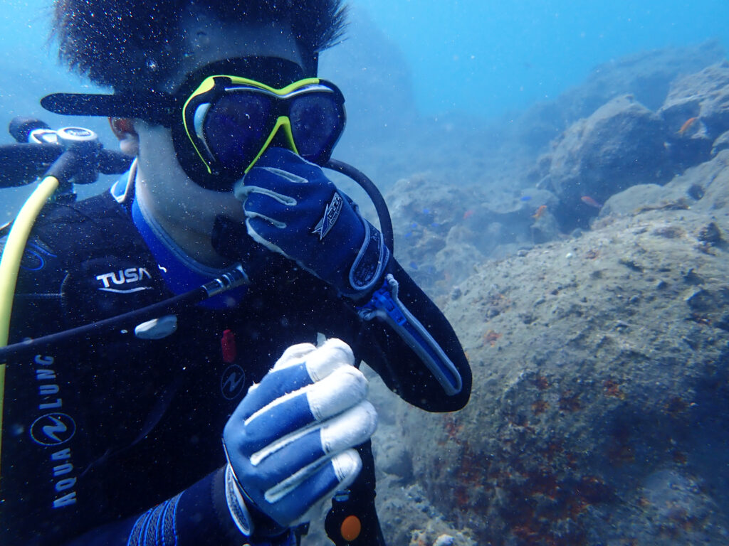 土肥ダイビング　通り崎ビーチ　OWコース 専修大学スキンダイビングクラブCORAL