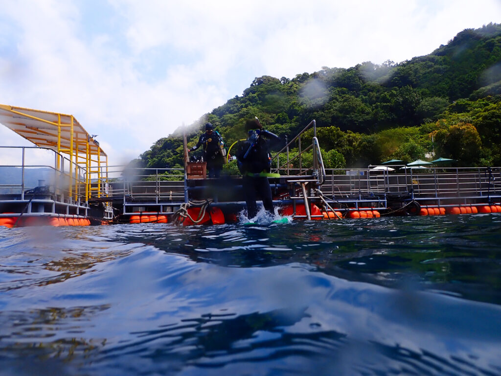 土肥ダイビング　通り崎ビーチ　OWコース 専修大学スキンダイビングクラブCORAL