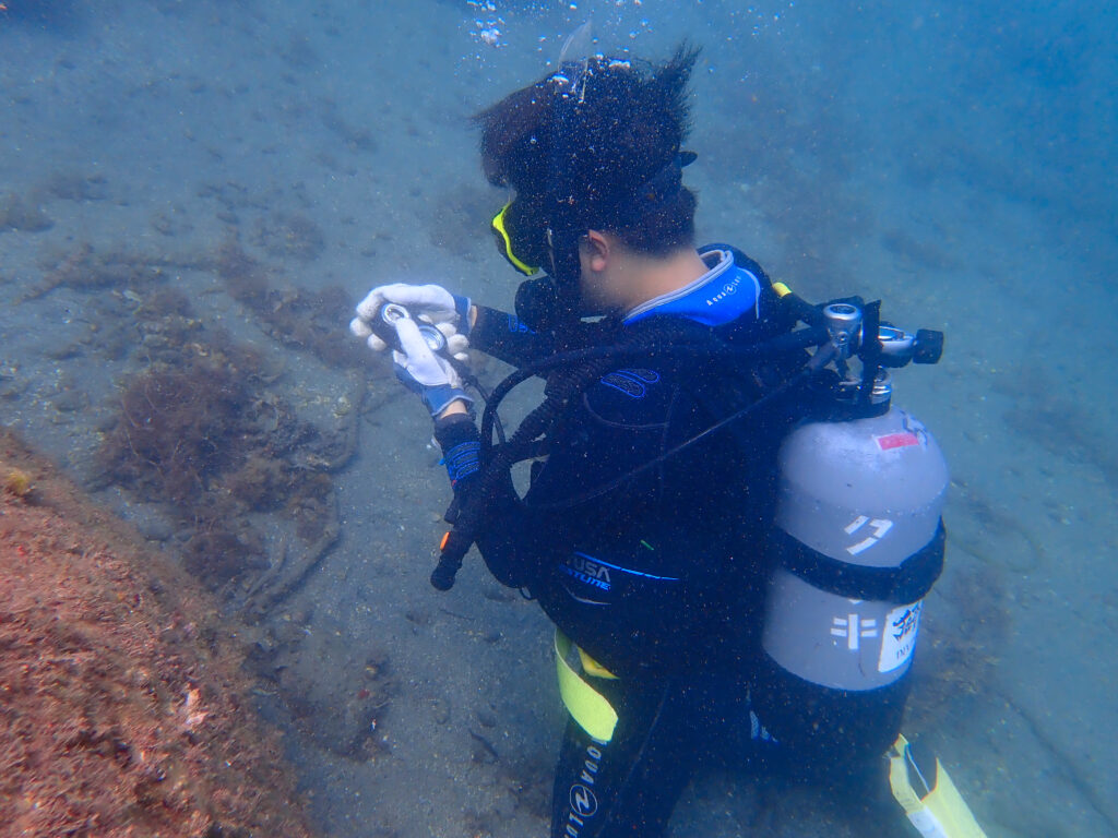 土肥ダイビング　通り崎ビーチ　OWコース 専修大学スキンダイビングクラブCORAL
