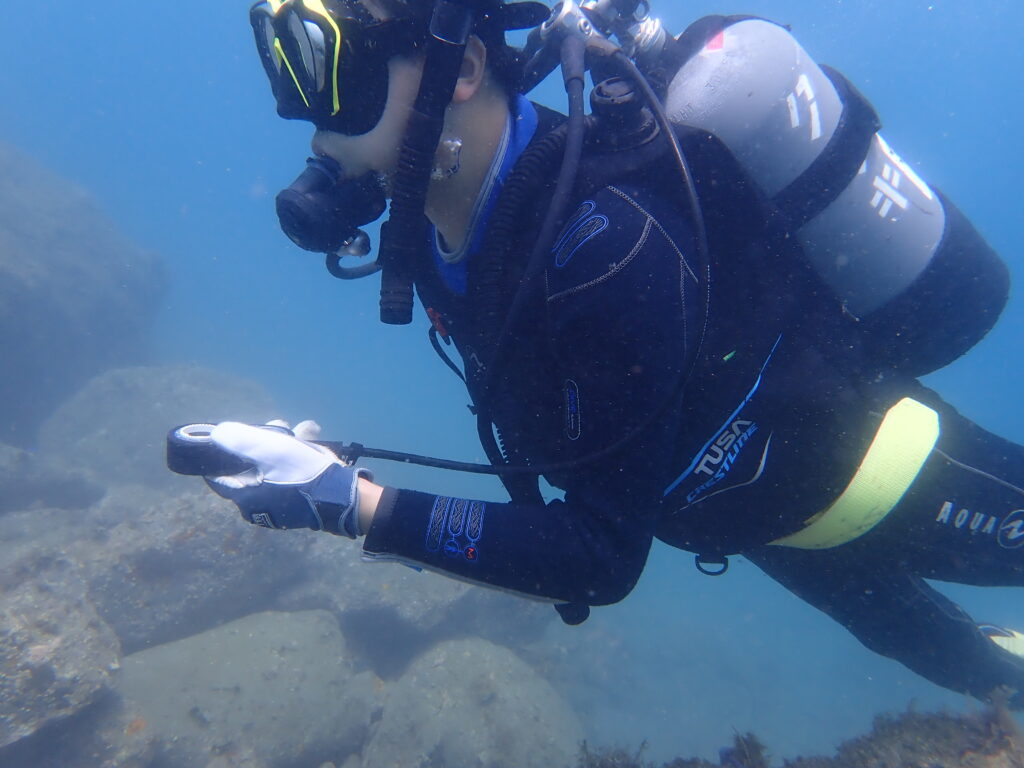 土肥ダイビング　通り崎ビーチ　OWコース 専修大学スキンダイビングクラブCORAL