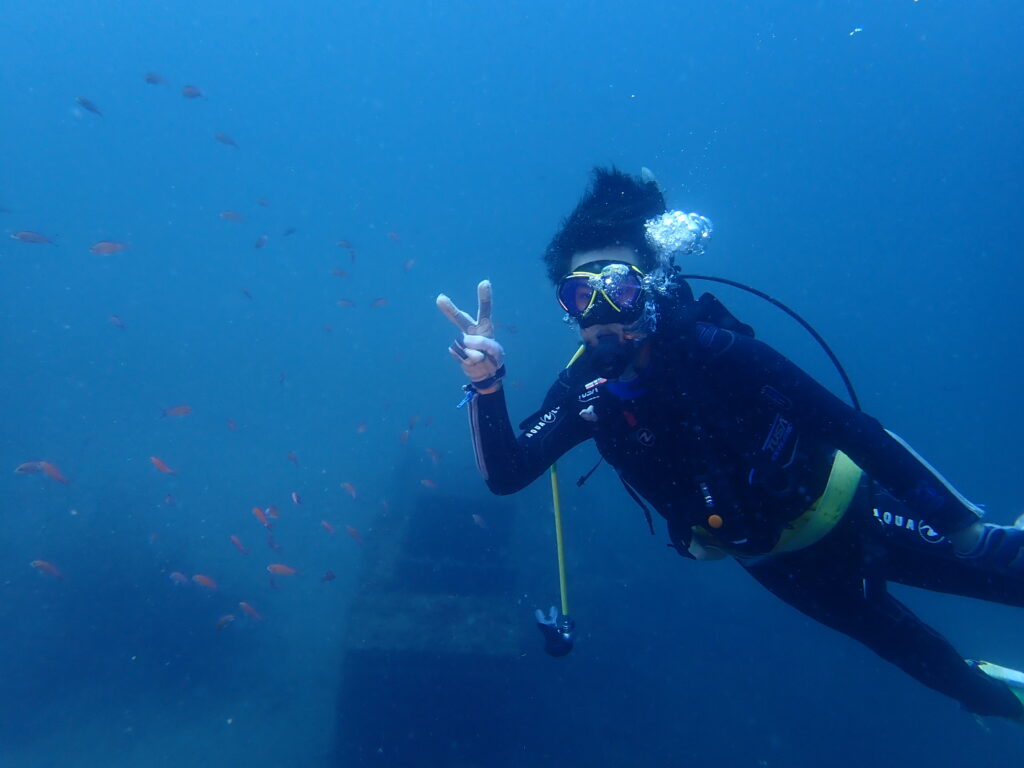 土肥ダイビング　通り崎ビーチ　OWコース 専修大学スキンダイビングクラブCORAL